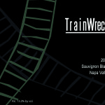 2012 Train Wreck Sauvignon Blanc